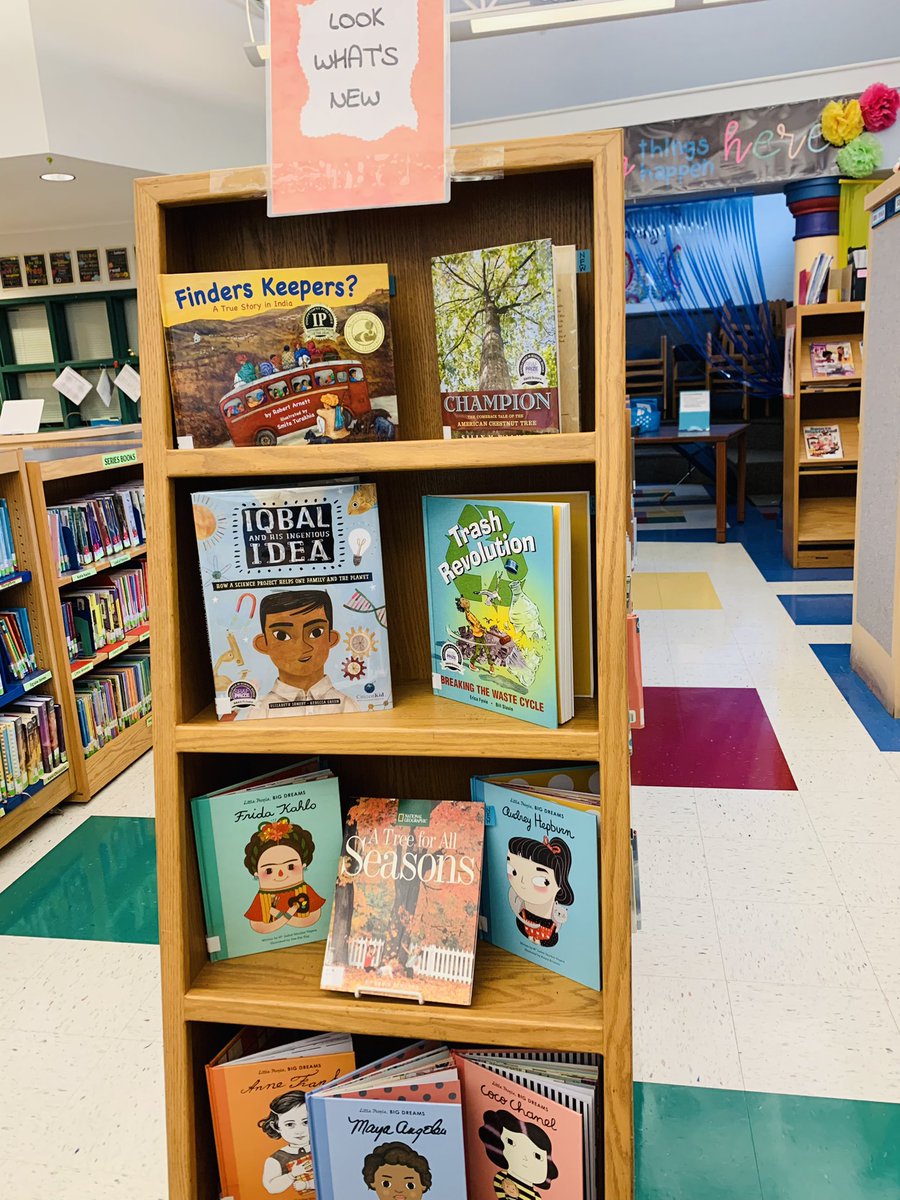 Marybeth Orlowski tweet media