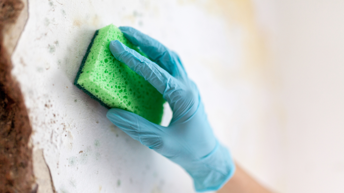 A person wears a blue glove while washing a wall with a sponge. 