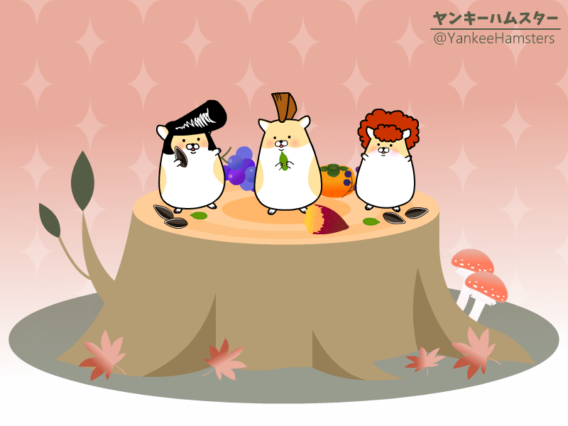 ヤンキーハムスター 公式 Yankeehamsters Twitter