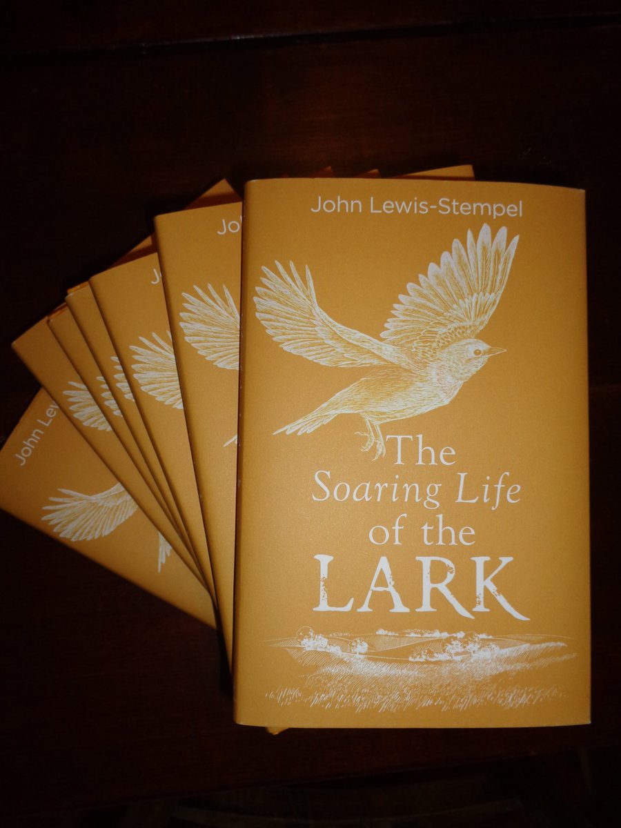 The Soaring Life of the Lark 