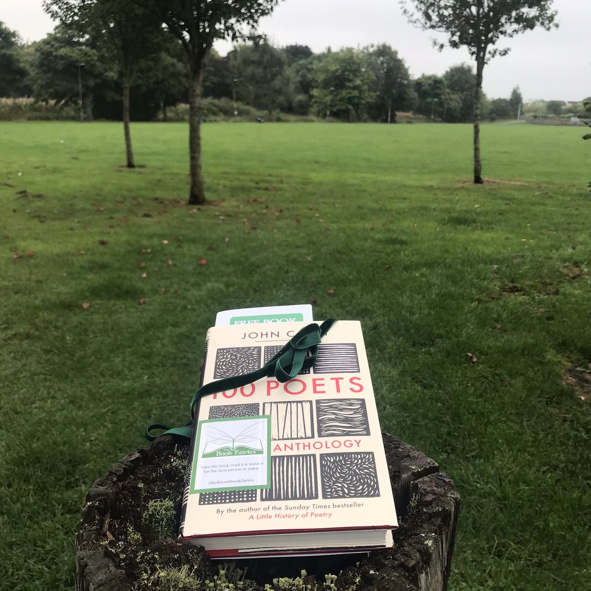 “What stranger’s feet may find the meadow, And trespass there and go…”
- A. E. Housman 

The Book Fairies are sharing copies of #100Poets, a new anthology by John Carey! 

Look out for this copy left at Meadow Park in Bathgate. 

#IBelieveInBookFairies #TBFPoets #BookFairyPoetry