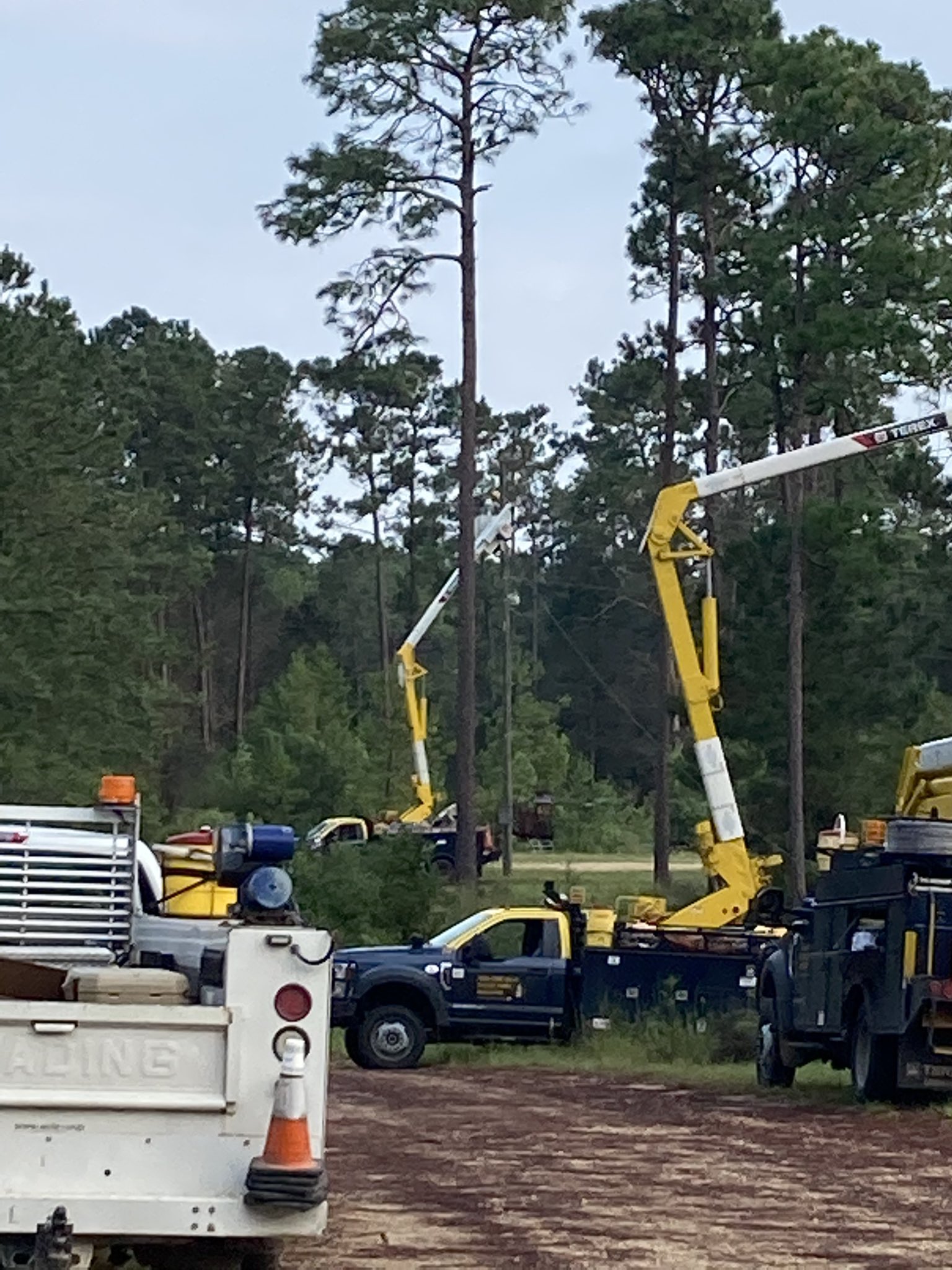 Washington St Tammany Electric - qlf473c