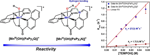JacksonLabKU1's tweet photo. And one more! Check out our new article on "Controlling the Reactivity of a Metal-Hydroxo Adduct with a Hydrogen Bond" in @J_A_C_S!! Lots of congratulations to Dr. Adedamola (@aaopalade) and our previous REU student Logan!! 🎉🎉😎😎👏👏

https://t.co/7WpU5GbNDH https://t.co/nfHtCJeYWP