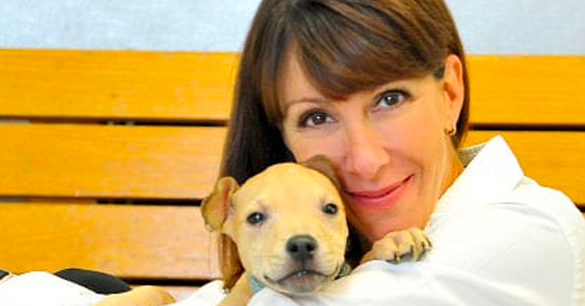 Leslie Granger, CEO of <a href="/Bideawee/">Bideawee</a>, visits #dogtalk to chat about the 118 year old animal welfare organization and their involvement in the upcoming <a href="/DogCatFilmFests/">The NY Dog and Cat Film Festivals</a> ➡️ ow.ly/bo3T50G77i4