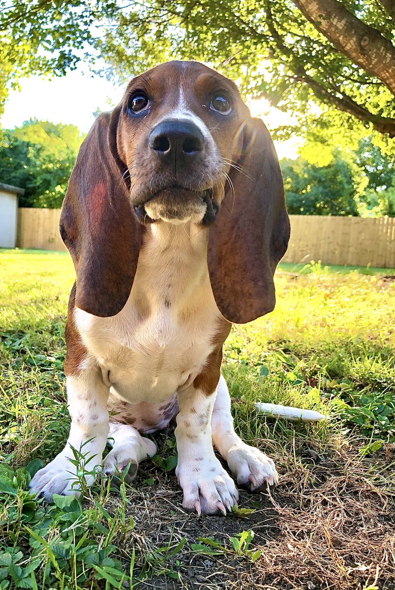 carter_howard1's tweet photo. I want everyone to enjoy my perfect child https://t.co/nopSsPJUmu