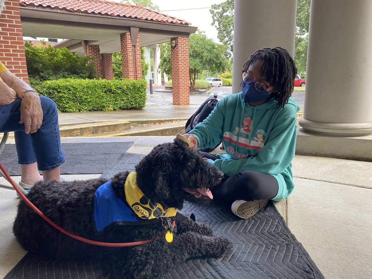 FUN FACT!!! Did you know that regular and proper grooming routines are essential for pet health? Learn more here: aspca.org/news/hair-come… #PetHealth #animaltherapy #funfact