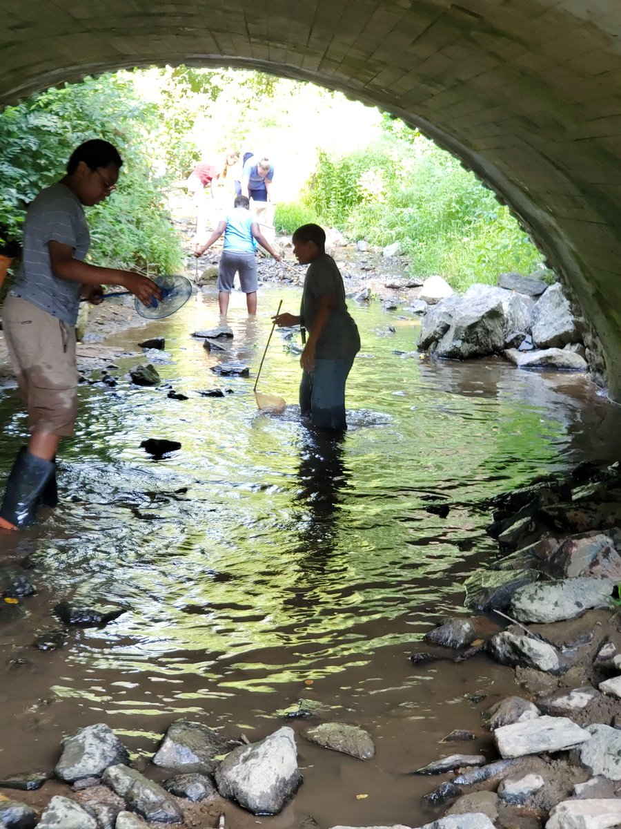 PRC_Litterbug's tweet photo. This summer, school students in #DelawareCounty enjoyed a week of education and exploration at #StreamStewards presented by PRC and #EasternDelawareCountyStormwaterCollaborative. A visit to a local stream followed classroom instruction. Learn more: https://t.co/0cQLrAfJe1 https://t.co/rz44Hgh3EZ