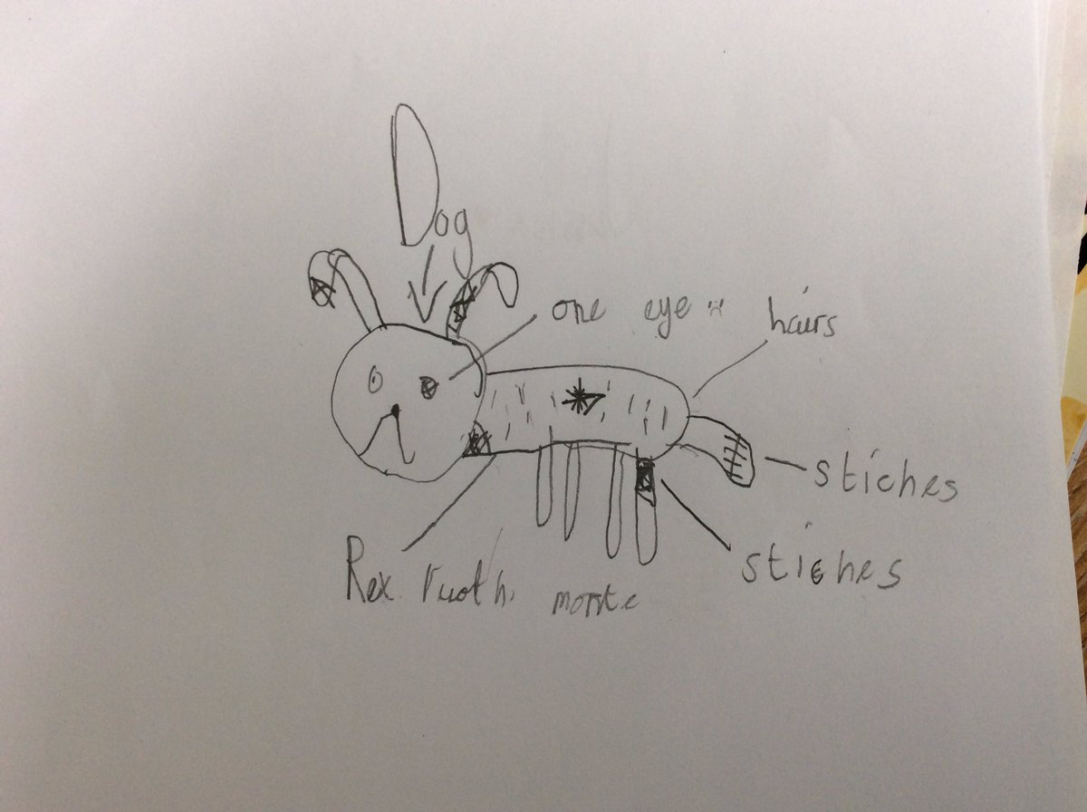 TimbertreeYr4 tweet media