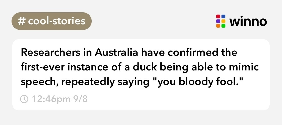 Of course we make a duck cuss for its first words.