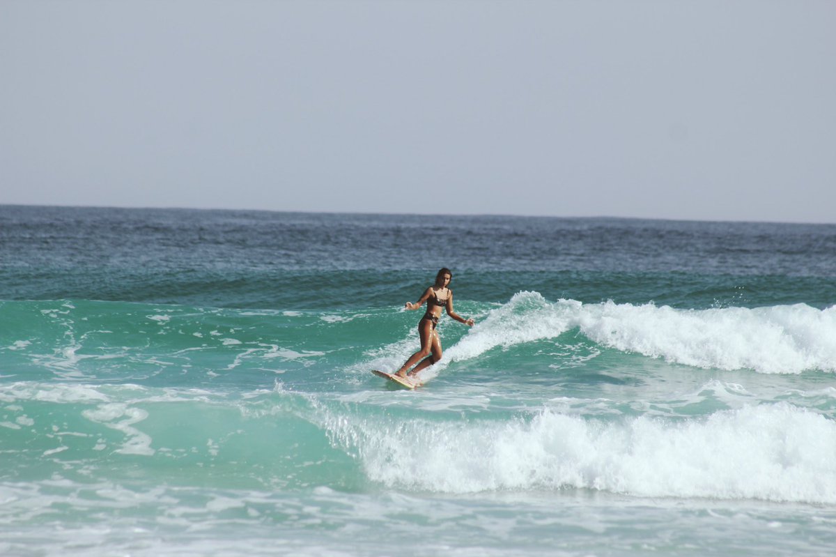 tinistra_'s tweet photo. Não aguento mais ver foto de bolsominion burro na internet, então olhem eu surfando que bonitinha https://t.co/apO64lR7FG