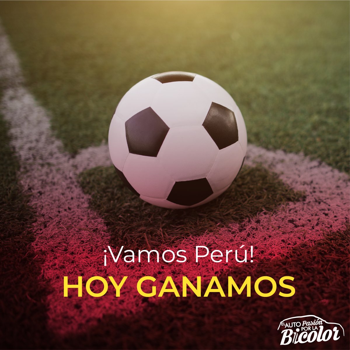 AutoPasionB's tweet photo. HOY LE GANAMOS A BRASIL ¡Hoy jugamos todos!, ARRIBA PERÚ MI ROJIBLANCA QUERIDA
#lablanquirroja #arribaperu #guerrero #lapadula #lapagol #vamosperu #eliminatorias #incondicionales #labicolor #porqueyocreoenti #lafeeslomaslindodelavida #hincha #alientadesdecasa #qatar2022 #conmebol https://t.co/FG88omyHxs