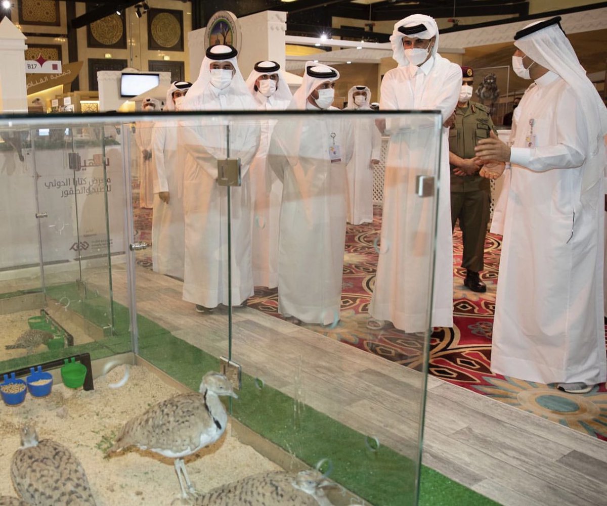 تخضع لك اجباهٍ مهي تخضع لحد
تقبل وإلى شافت حجاجك دبرت

محدً عليك يطول ياطير السعد
حتى الحباري يوم شافتك اخمرت 

هادي آل هدفة