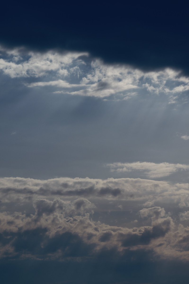 stillsbyjo's tweet image. pour me some l i g h t ☀️