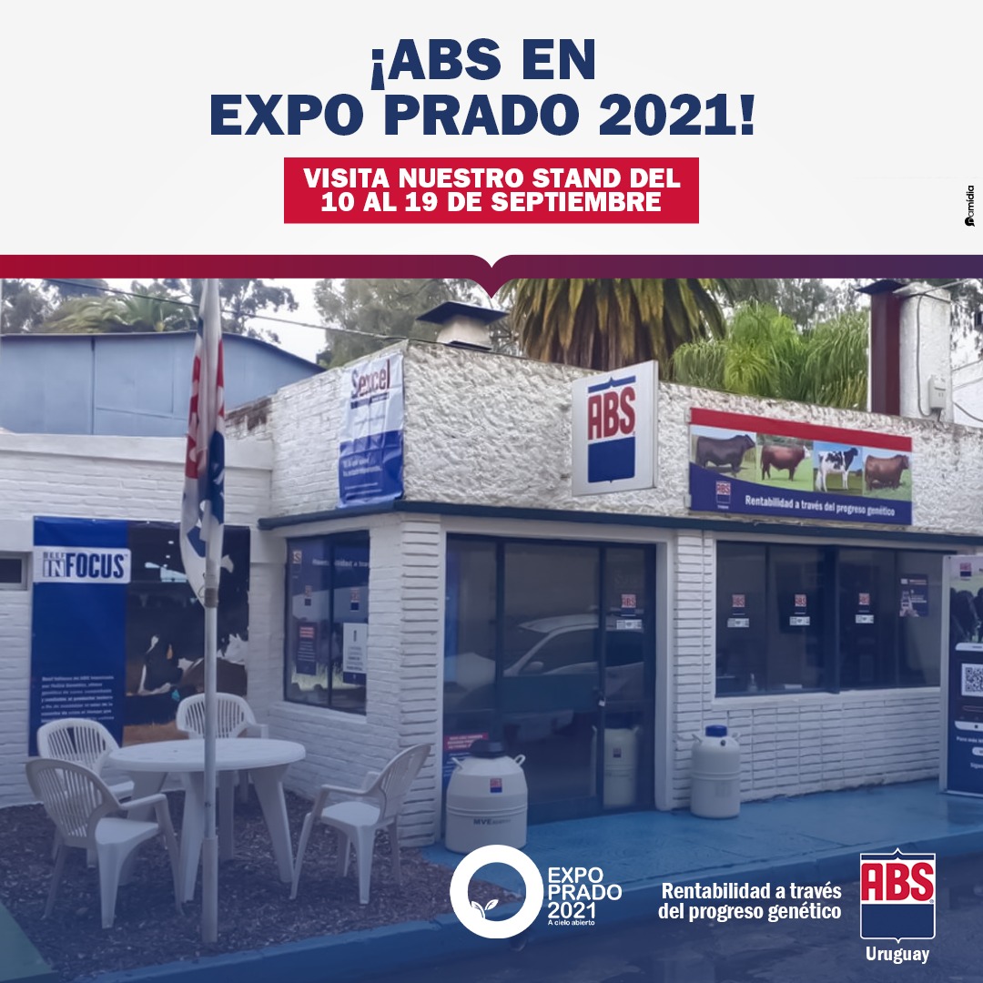 ABSLatinAmerica's tweet photo. ¡ABS en Expo Prado 2021!

La feria ganadera y agrícola más grande de Uruguay ya ha comenzado y ABS está esperando su visita.

Del 10 al 19 de septiembre, visite nuestro stand y conozca todas las novedades y soluciones que tenemos disponibles para mejorar la calidad genética de su https://t.co/gjGpKzE8ld