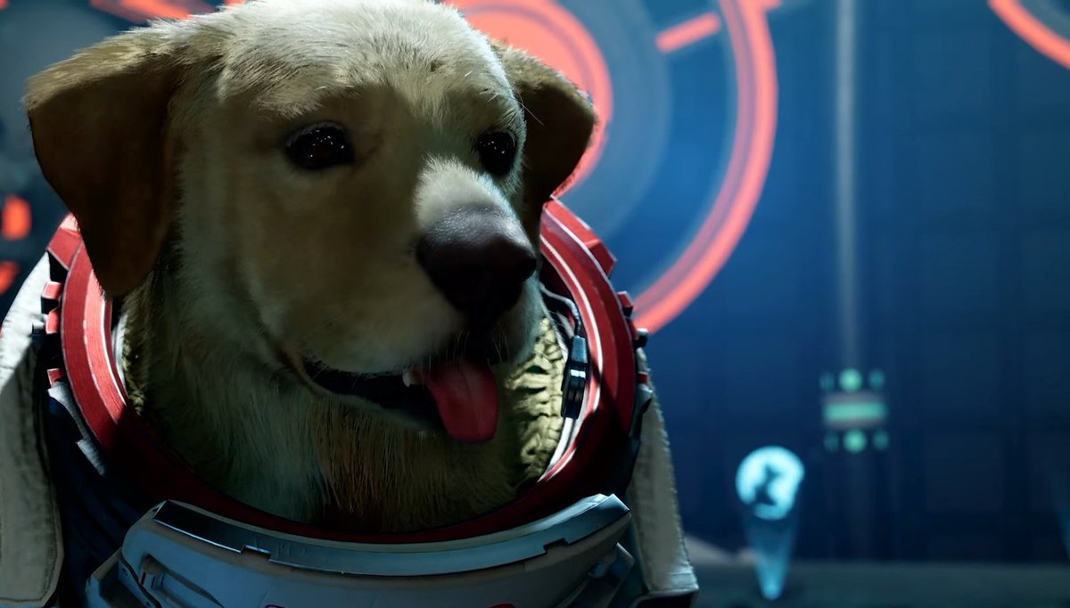 Alan Marshall tweet media