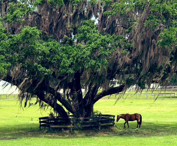 September already https://t.co/DfK86jCg9q