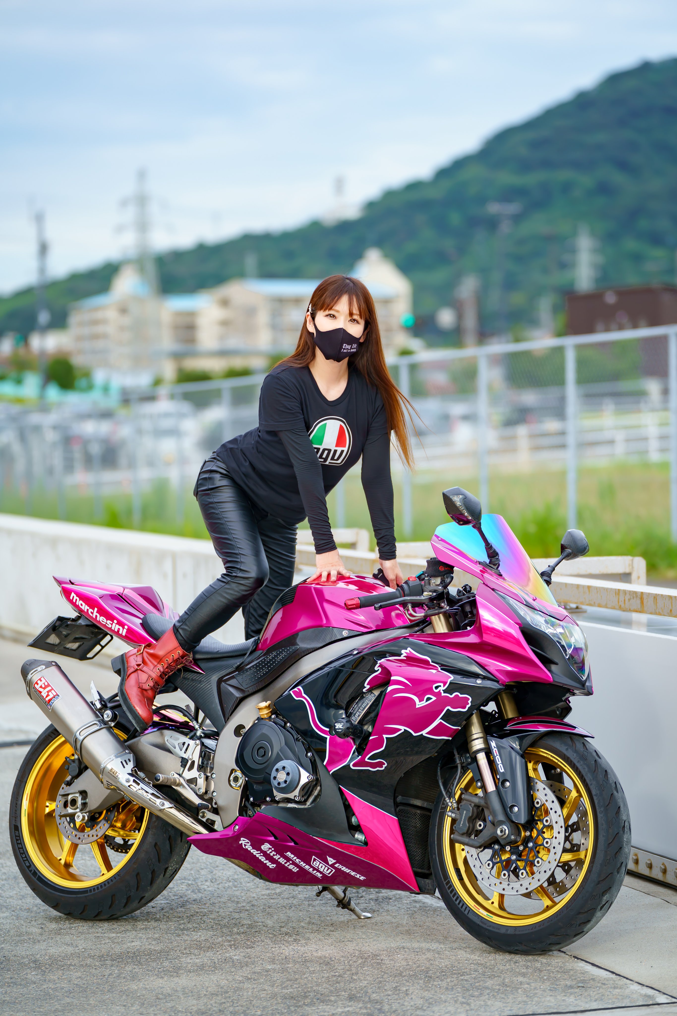𝐒ちゃん🌸猫Photo Rider on X: 