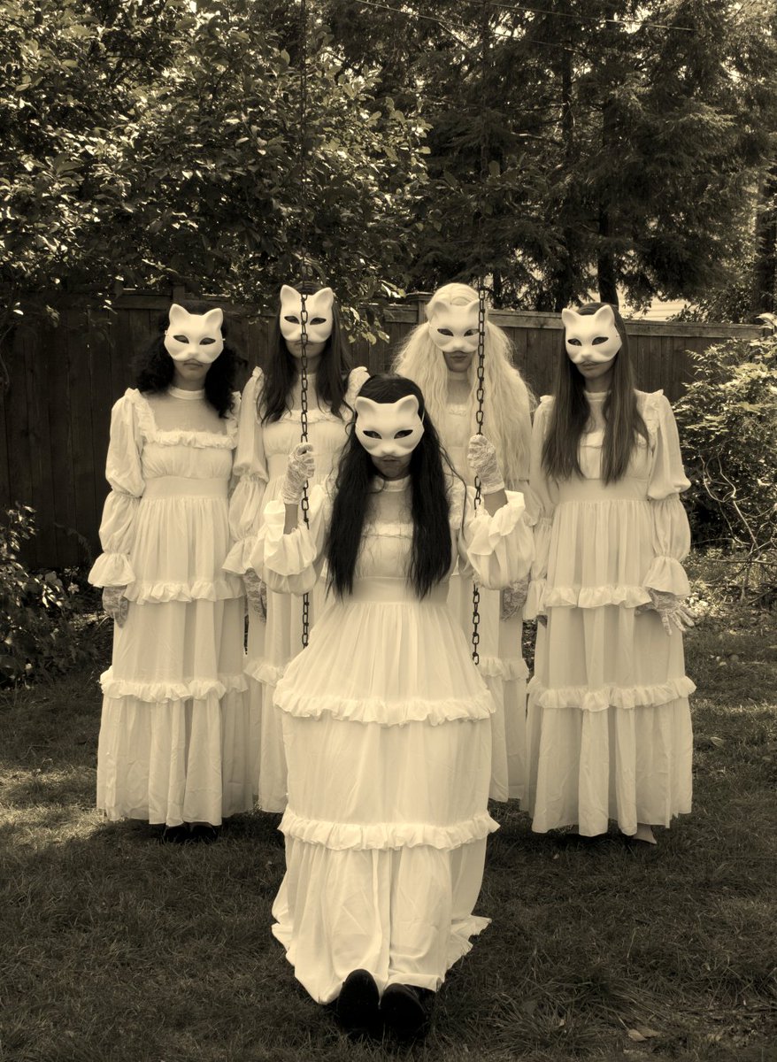 from what we at PSC can surmise, these members of PUSS (Philosophical Union of Sybaritic Supernaturalists) appear to be enjoying a perfectly normal and not-at-all-unusual day in the park. meow!