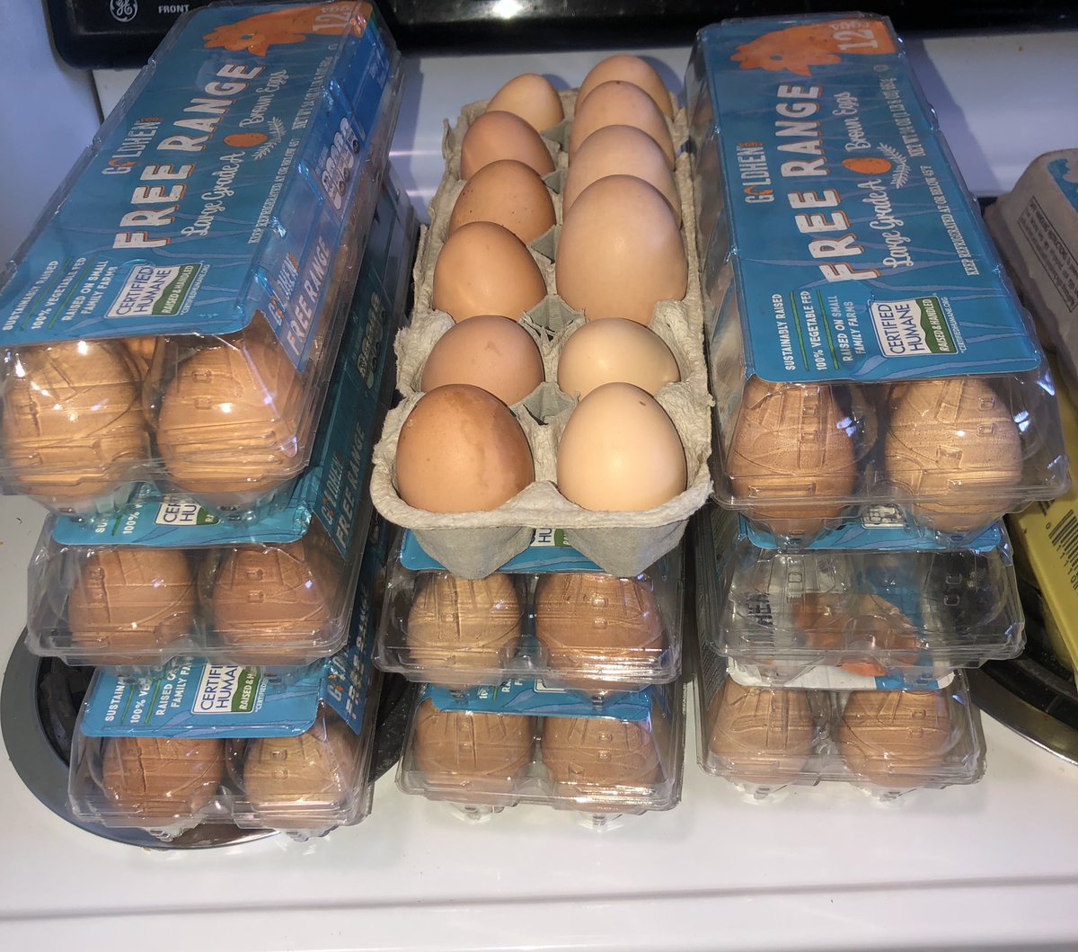 VERYMARY901's tweet photo. Farm fresh eggs! 
$3.50 per carton
Bartlett/Cordova area
PayPal, Zelle, Cash app, or pay and pick up! DM for info. 🐔🐣🐓 https://t.co/ext3hNbBQP