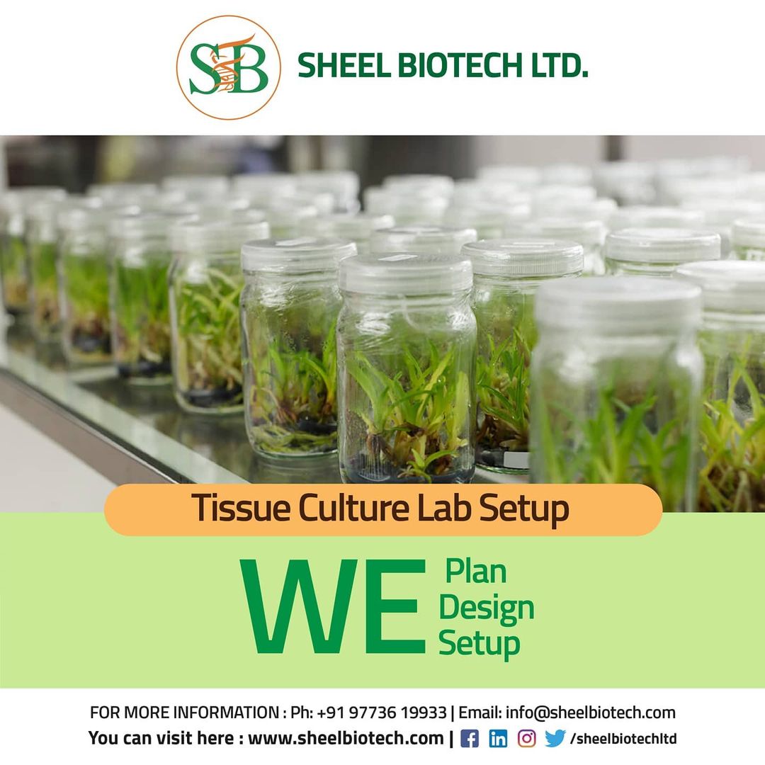 Serious, Modern Logo Design for Genie Lab by step forward 2 | Design  #26114861, image size:1080x1080