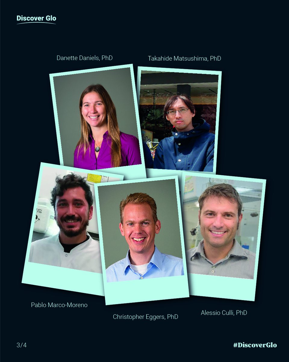 promegauk's tweet photo. Who are you most looking forward to hearing from during #DiscoverGlo 2021?
Let us know who you are most excited to see at #DiscoverGlo2021 by tagging them in the comments below or tag one of your colleagues so they know to sign up.
Programme/register at https://t.co/I0MlL70QT0 https://t.co/B9yGkuOEHK