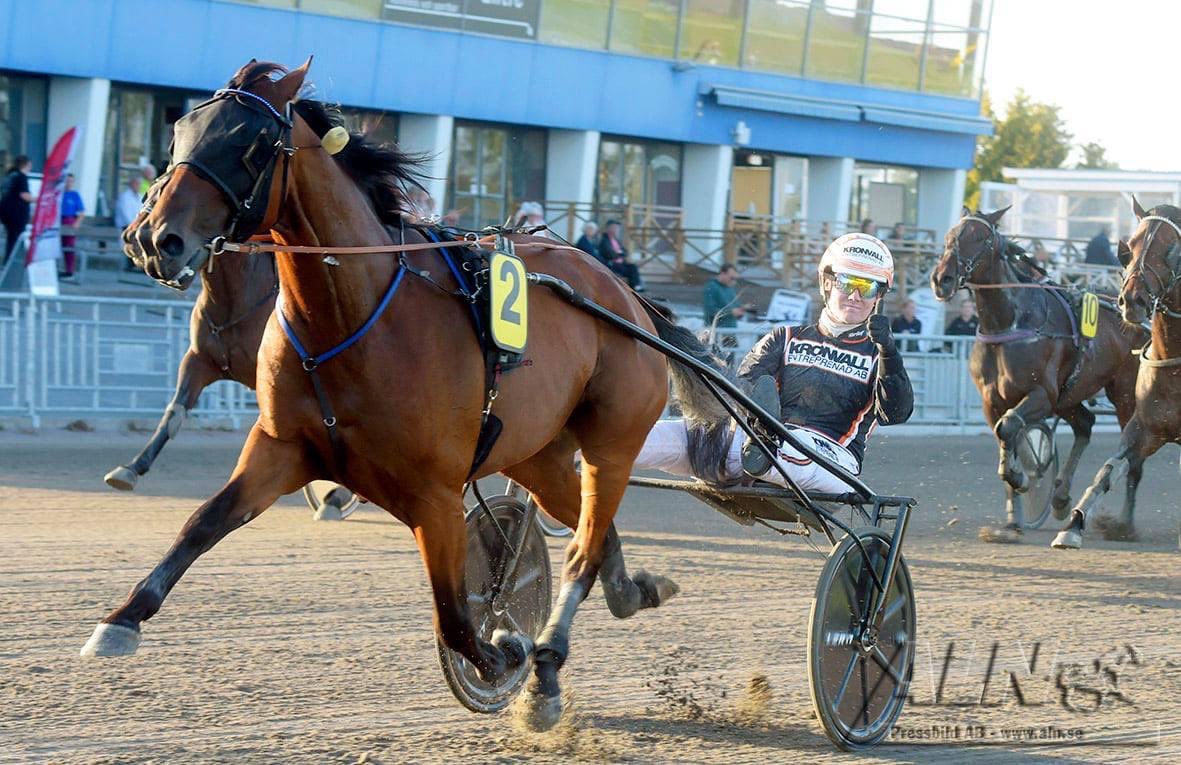 malte handfst tweet media