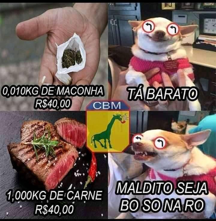 CusTitica's tweet photo. Tipo assim https://t.co/Z6dObRQfA8