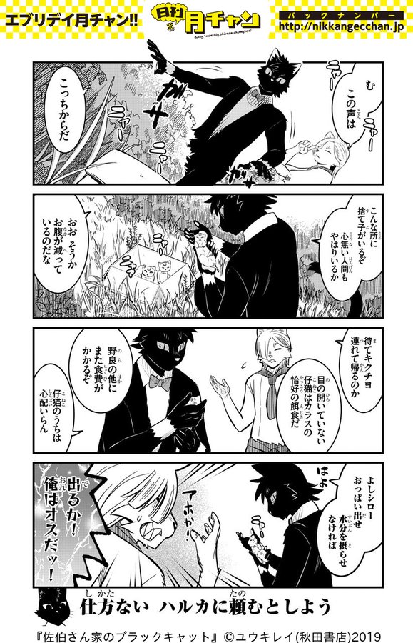佐伯さん家のブラックキャット!あと2話で最終回!(/・ω・)/3年もよく頑張った・・・ 
