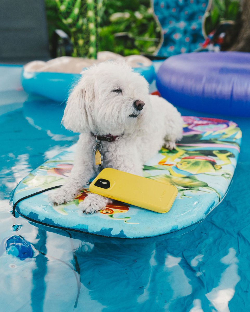 LifeProof's tweet photo. ☺️ MOOD ☺️ 📸 : Brynn Osborn
#LifeProofFRE #ShowUsYourProof https://t.co/rqglVFqvme