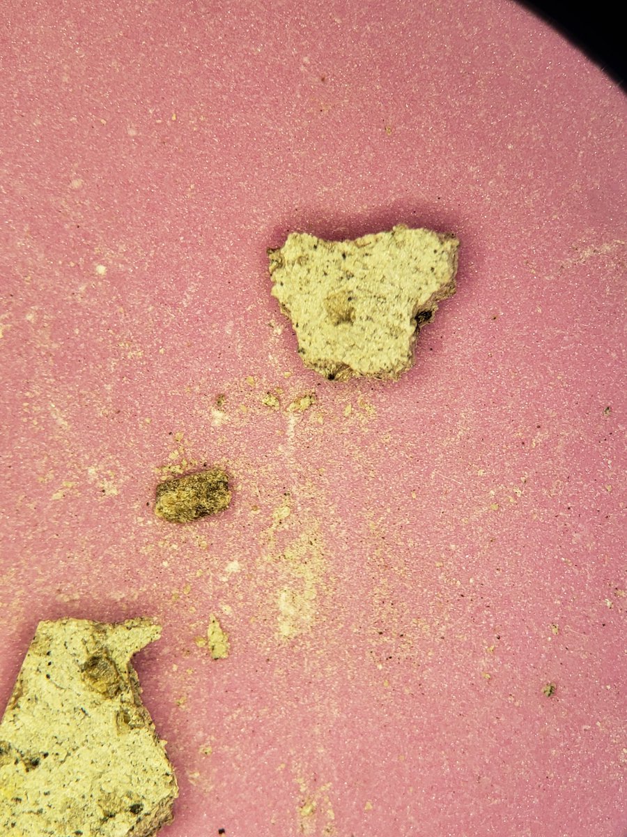 Close up of a martian meteorite. It is light grey mostly with large olivine phenocrysts. Its cut in half with a large olivine separated