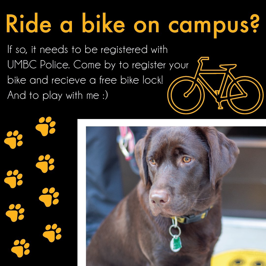 ChipUMBC's tweet photo. i dont know how to ride a bike but if you do and ride on campus, it needs to be registered with us :) please come by the UMBC Police Station to do so https://t.co/w6RvXtPlGl