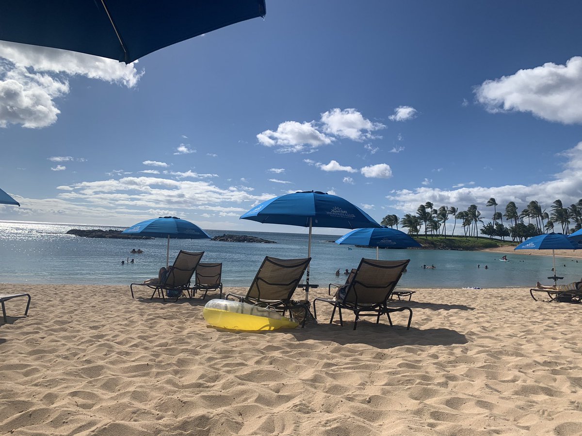 Marissa Window tweet media