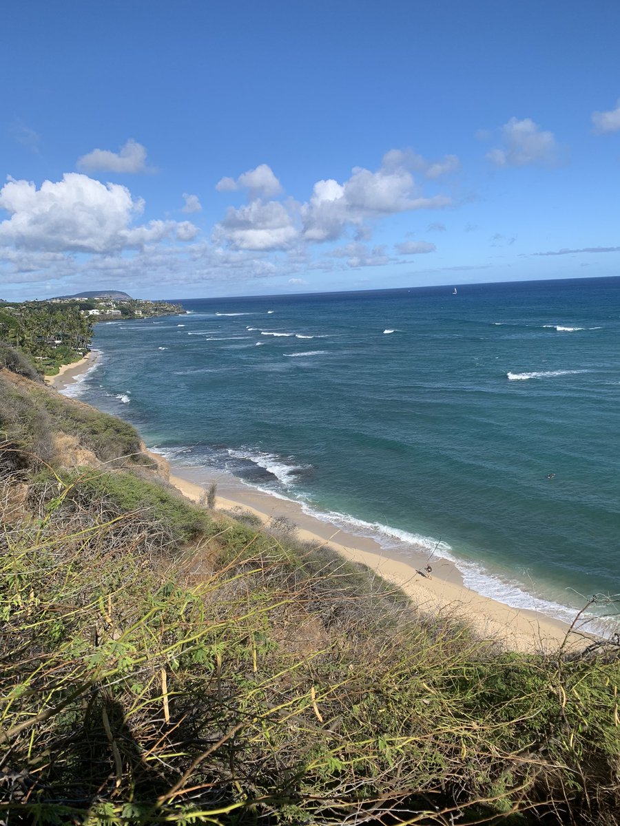 Marissa Window tweet media