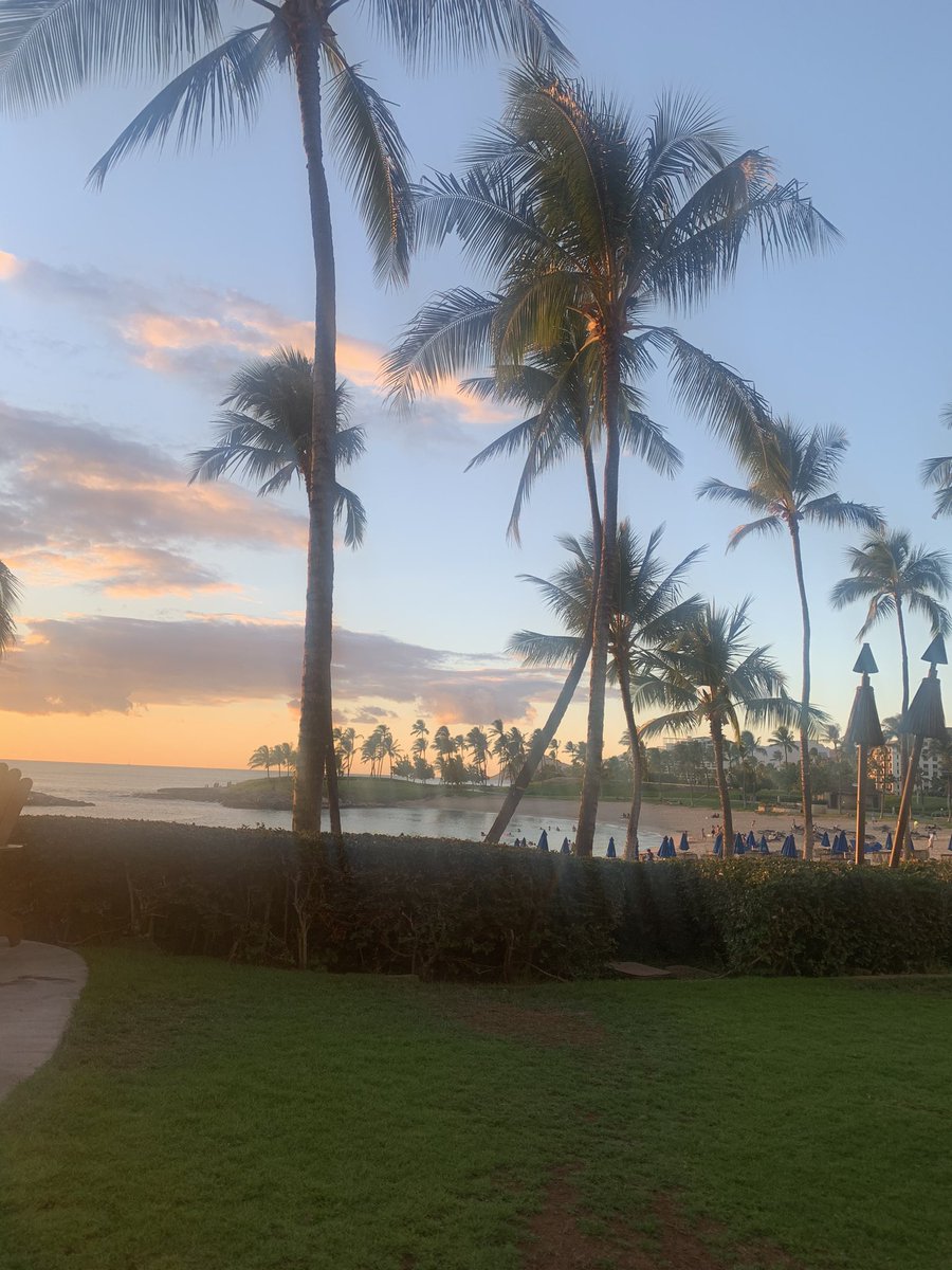 Marissa Window tweet media