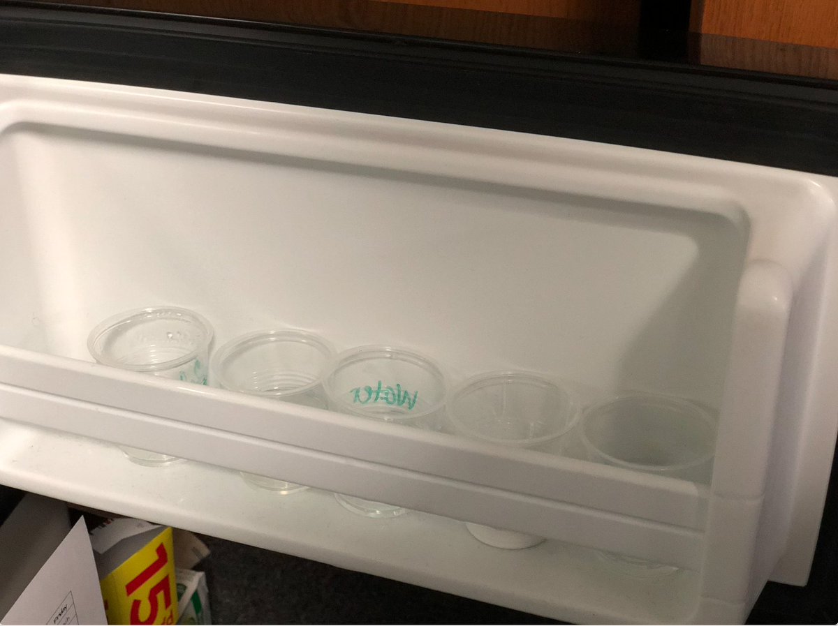 MsLShepherd's tweet photo. 2C is experimenting with what happens when you remove heat to different liquids by putting them in the freezer overnight. Can't wait to see if our predictions were correct. @DCEtrailblazers #75019Science https://t.co/Obg4zZy9hV
