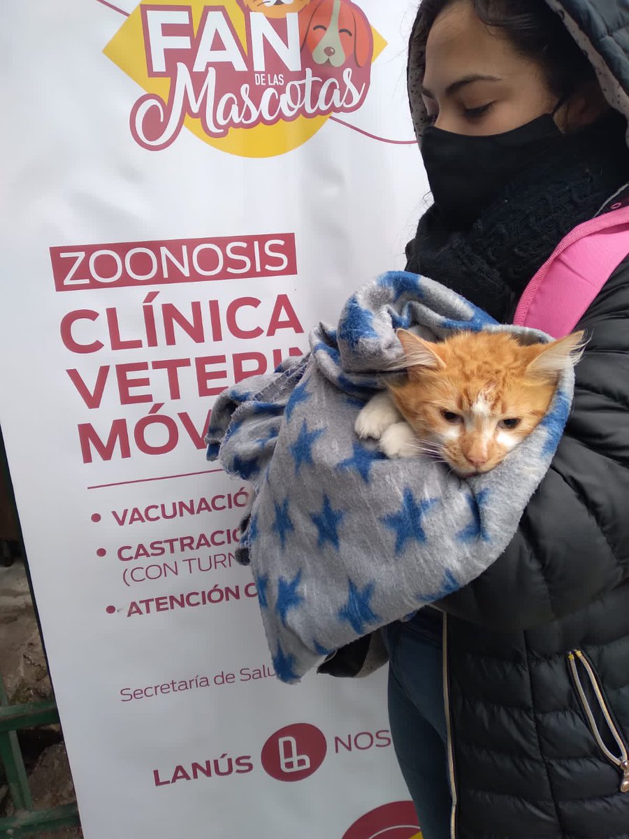 drgustavosieli's tweet photo. Nuestra Clínica Veterinaria Móvil estuvo hoy en Chubut 4455, donde continuamos realizando vacunación, consultas y castraciones a nuestras mascotas https://t.co/LuOIIz8QPn