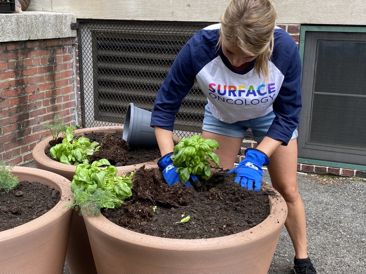 Life Science Cares Boston (@ls_cares) on Twitter photo Last week the team at @SurfaceOncologyteam got together to build an educational STEM garden for Nathan Hale Elementary School! THANK YOU for not only sponsoring the build, but for coming out for the install with <a href="/CitySprouts/">CitySprouts</a>. You all have great green thumbs (and paws)! Last week the team at @SurfaceOncologyteam got together to build an educational STEM garden for Nathan Hale Elementary School! THANK YOU for not only sponsoring the build, but for coming out for the install with <a href="/CitySprouts/">CitySprouts</a>. You all have great green thumbs (and paws)!