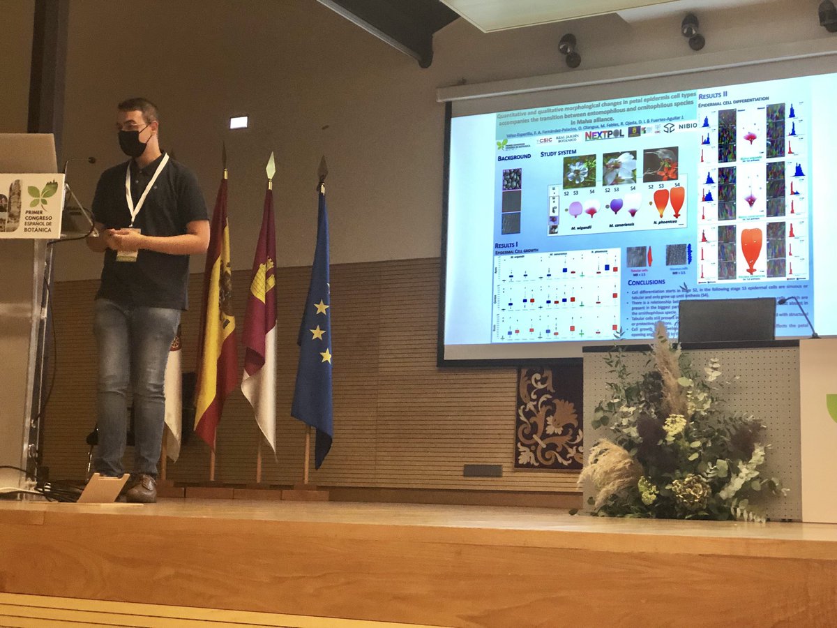 javierfaguilar1's tweet photo. @fervelesp and @petracor3 made it to the 1-minute express poster presentación at @OficialSebot Congreso Español de Botánica. Two new contributions from #Nextpol project. Good Job! https://t.co/lS80cVcOdG