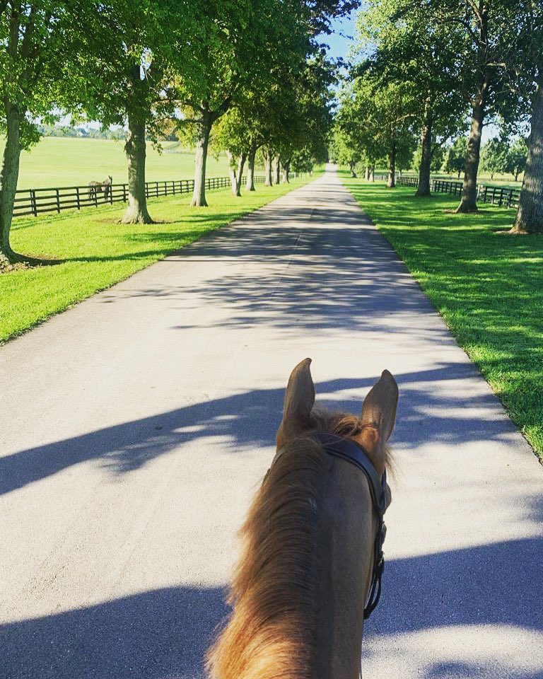 houghjumps's tweet photo. The best Kentucky views 😍 https://t.co/CC0fhRPZgo