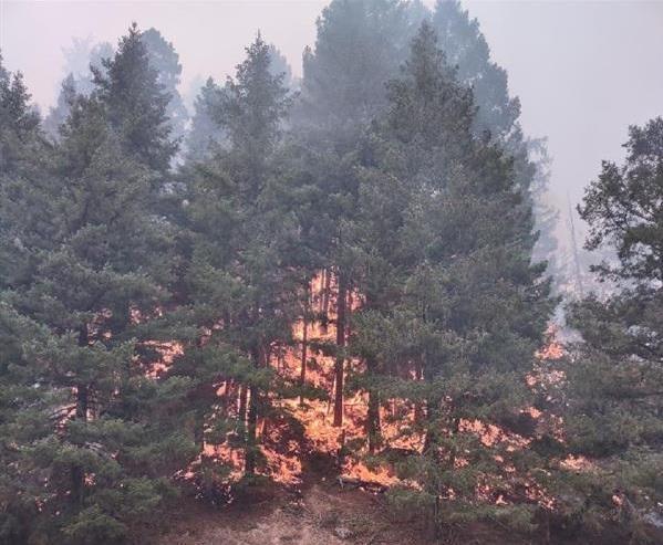 OregonDEQ's tweet photo. DEQ & @LaneRegionalAir issued an #AirQuality advisory Thursday for Central, Eastern and Southern Ore., plus parts of Ore. Cascades due to smoke from fires in Oregon & N. California. For the list of counties under advisory, visit: https://t.co/9EYYAkVs7j
Photo:#DevilsKnobComplex https://t.co/5JCMlzGB7V