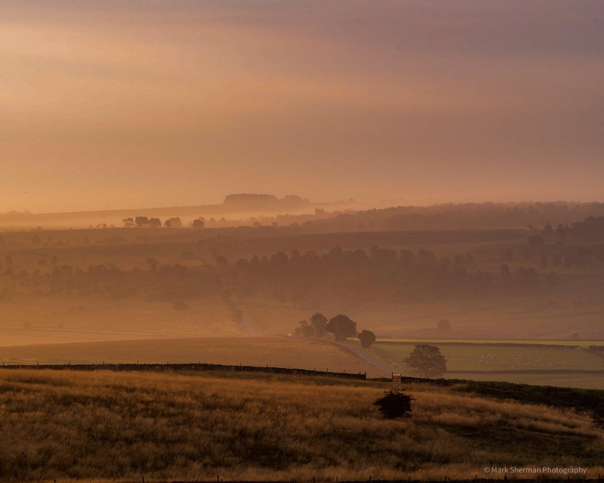 Mark_Sherman's tweet photo. Misty Sunday morning on Curbar Edge #landscapephotography #peakdistrict #curbaredge https://t.co/eGvm1guw9T