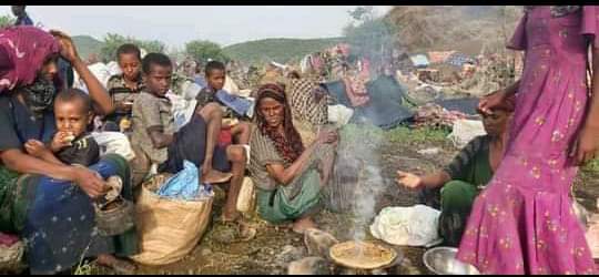 SuleimanAbdell7's tweet photo. ሦስተኛው መልዕክት 
Destroying schools and hospitals is a war crime". Athlete Halie Gebreselasie spoke after the school he built in the rural area of Amhara was destroyed by #TPLFTerroristGroup 
#TPLFattackingSchools 
#TheGenocid @UN @USAID @SecBlinken @HHShkMohd https://t.co/1iI44dGz8B