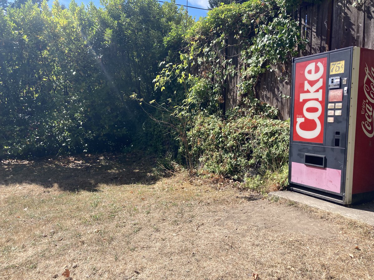 AllStarOpera's tweet image. Sooooooo we found the mystery soda machine that disappeared from Capitol Hill on a random Street in Shoreline….