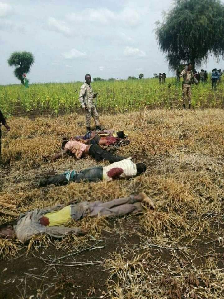GjQbNJwLgJcgM1Z's tweet photo. Sad😭
This is how #Amhara forces are killing #Tigrayan civilians in #Humera after they hunt them door-to-door everyday
These #victims were taken from their homes for three days #HumeralMassacre GEE @POTUS@hrw @USAmbUN @G7 @SecBlinken@Laetitia Bader @UN https://t.co/kyIhD1Up9j