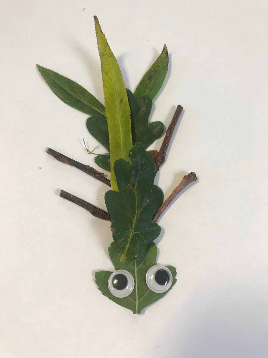 SpsWheatcroft's tweet photo. During our outdoor activity this week we created NatureBugs. @SummerswoodPS https://t.co/bEPj9y2qVP