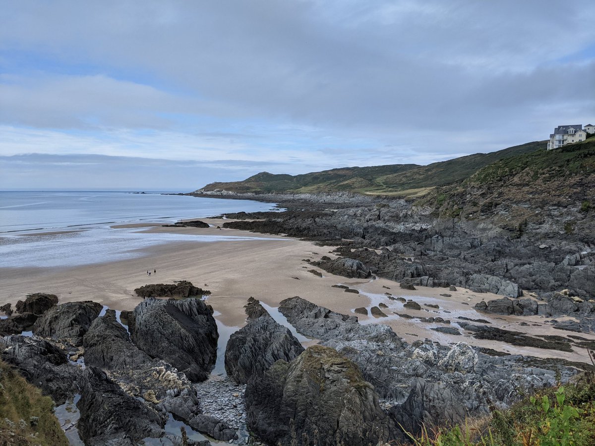 Jeff Watson tweet media