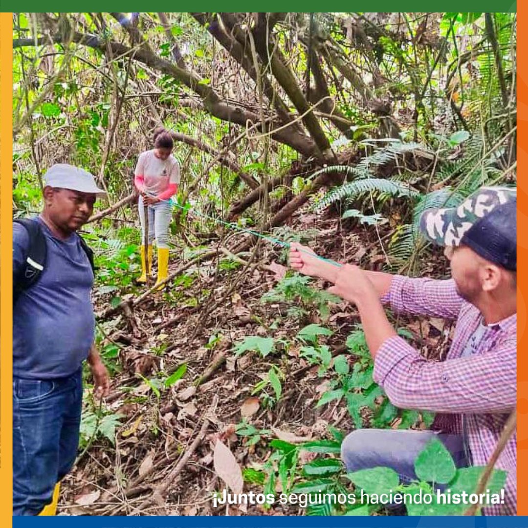 PrefecturaESM's tweet photo. #NoticiasPositivas | ¡Protegemos el ecosistema! 🌎🌻
Técnicos de la Dirección de Gestión Ambiental, realizaron el inventario florístico de la Finca Integral Jehová Shalom, ubicada en la comunidad #Chapil, de la parroquia en #Tonsupa, jurisdicción del cantón #Atacames. https://t.co/JDcy5hCKt7
