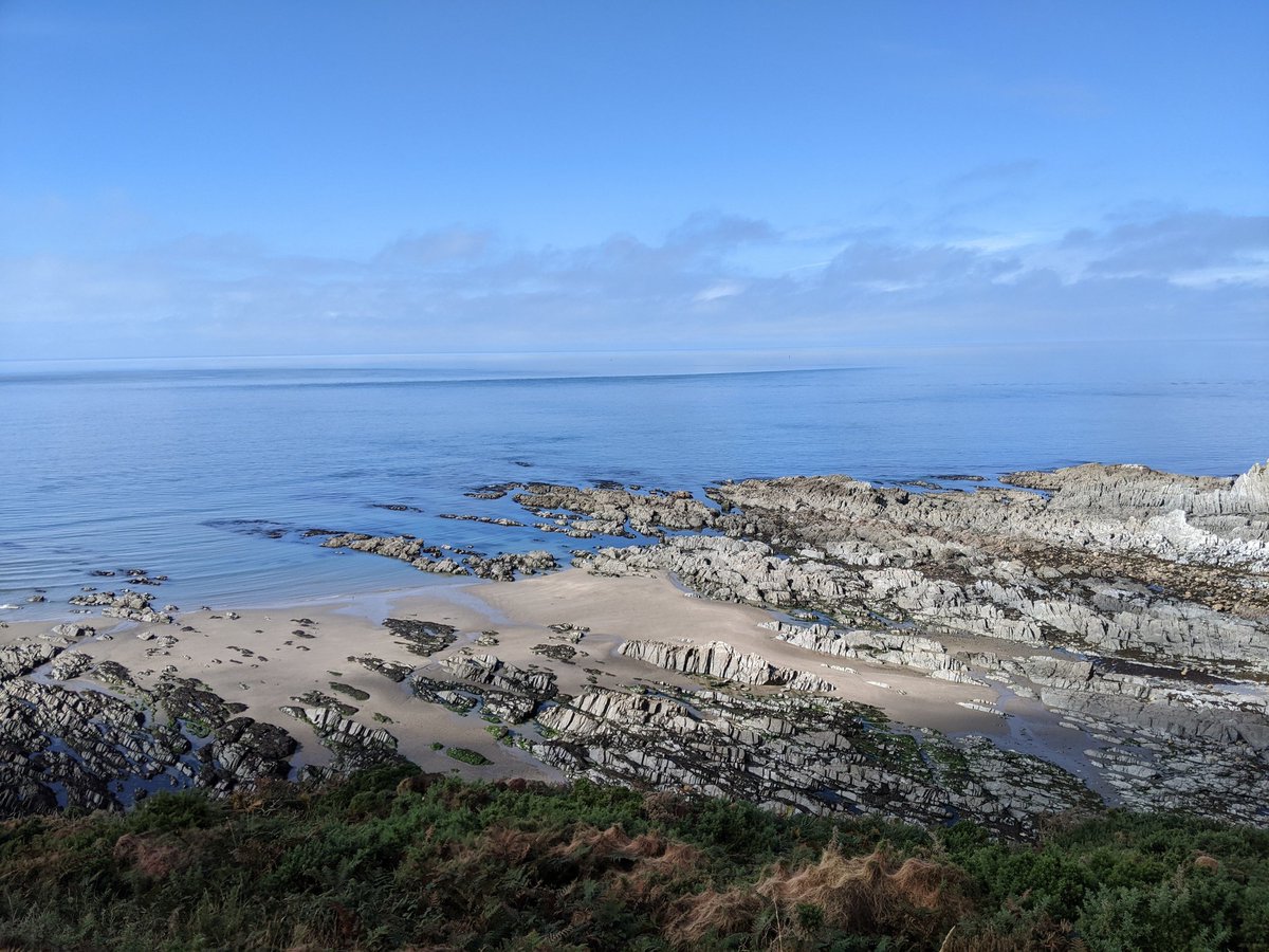 Jeff Watson tweet media