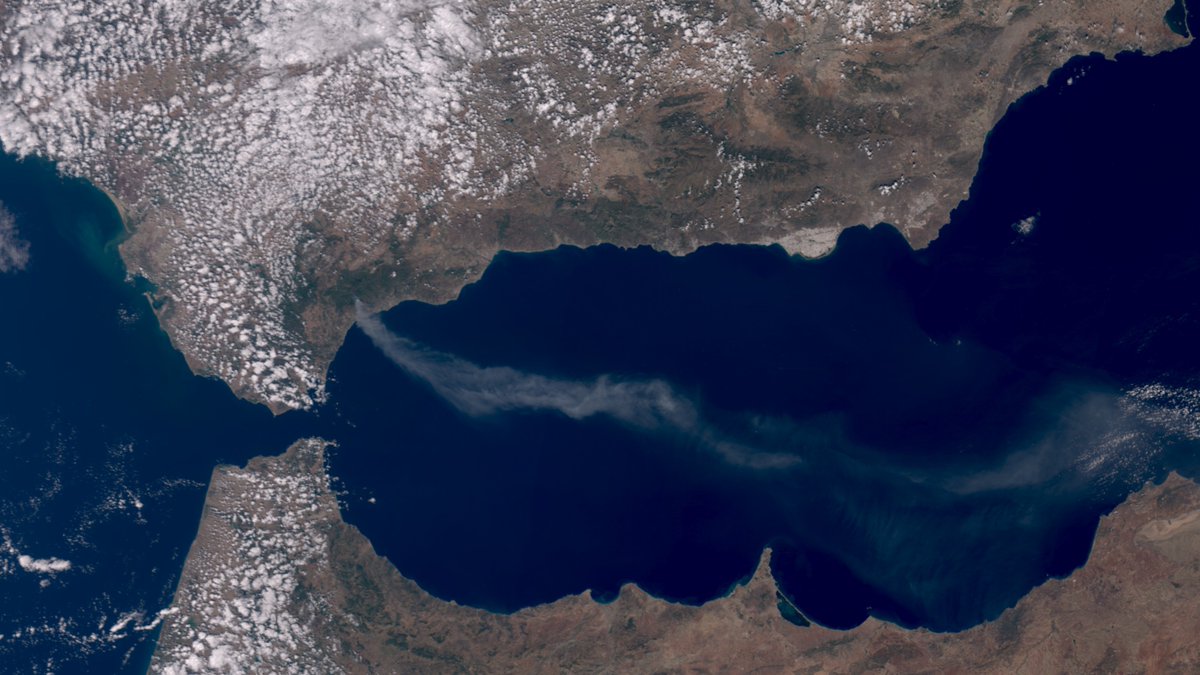 Imagen en alta resolución del satélite #Sentinel3 al medio día, captando la pluma de humo que se extendía desde el #IFJubrique, #Málaga, hasta la costa de #Orán, #Argelia (500 km).