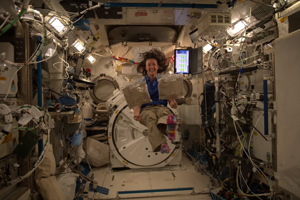 csa_asc's tweet photo. Every year, youth across Canada take a bite out of science with @Tomatosphere, planting tomato seeds that have been to the @Space_Station. Last week,  @Astro_Megan struck a pose! 🍅

Learn more: https://t.co/l1bbjmSmcA
@LetsTalkScience 

📸: CSA/NASA https://t.co/9ieg7zoJaP